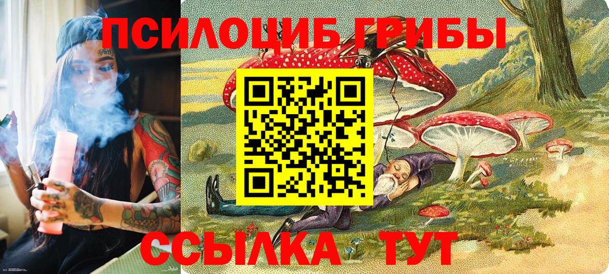 Псилоцибиновые грибы мицелий Краснознаменск